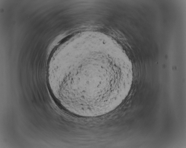 X0000072920003200608181302