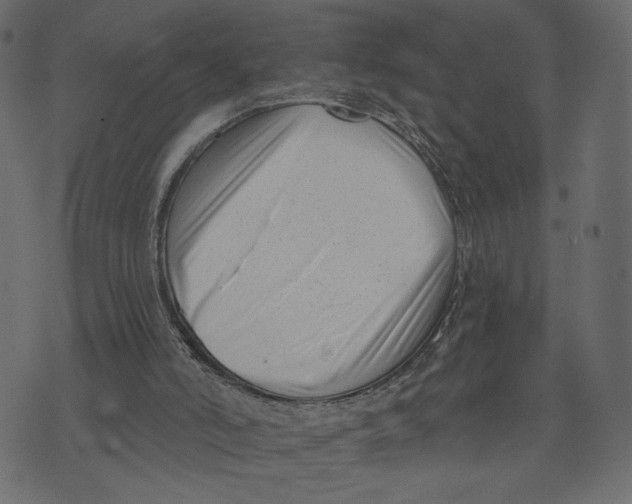 X0000072920006200608181302