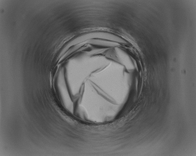 X0000072920013200608181302