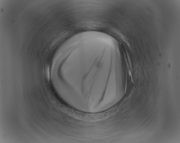 X0000072920027200608181302