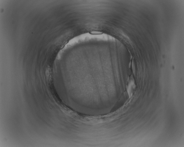 X0000072920029200608181302