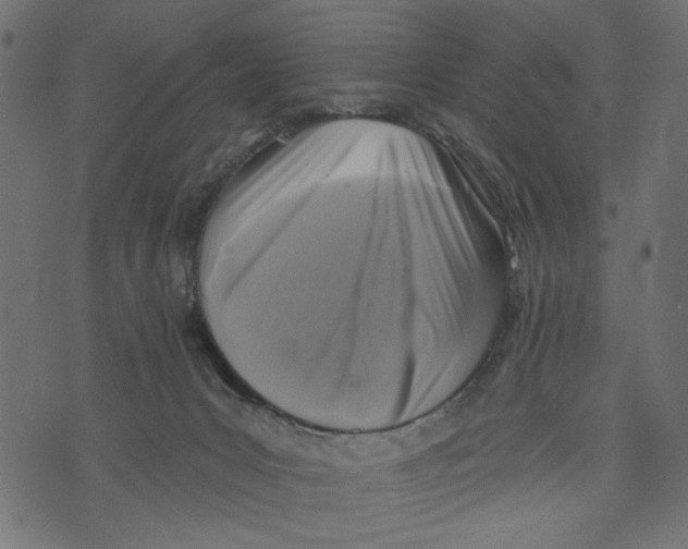X0000072920031200608181302