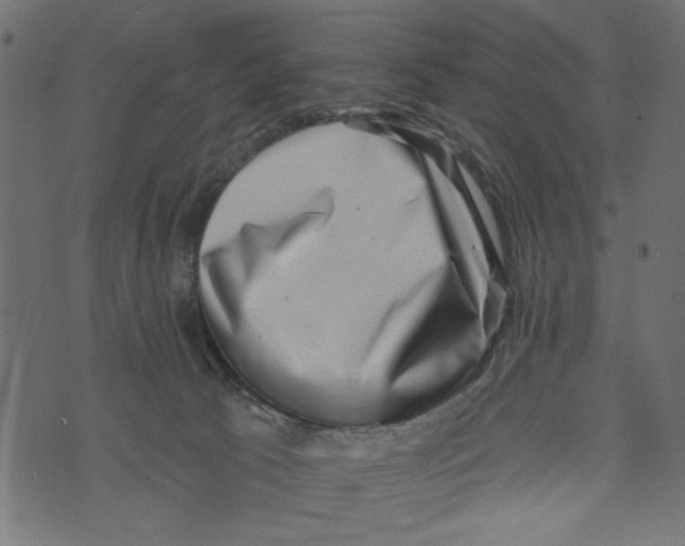 X0000072920033200608181302