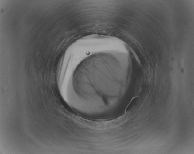 X0000072920035200608181302