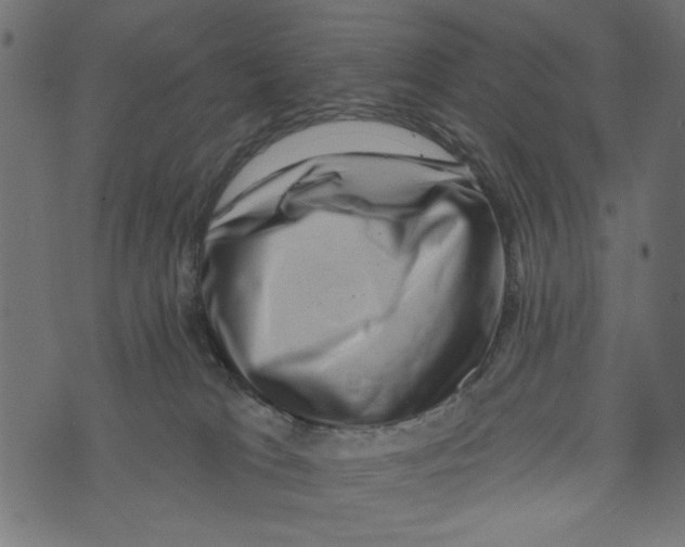 X0000072920037200608181302