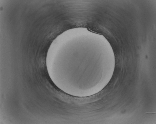 X0000072920039200608181302