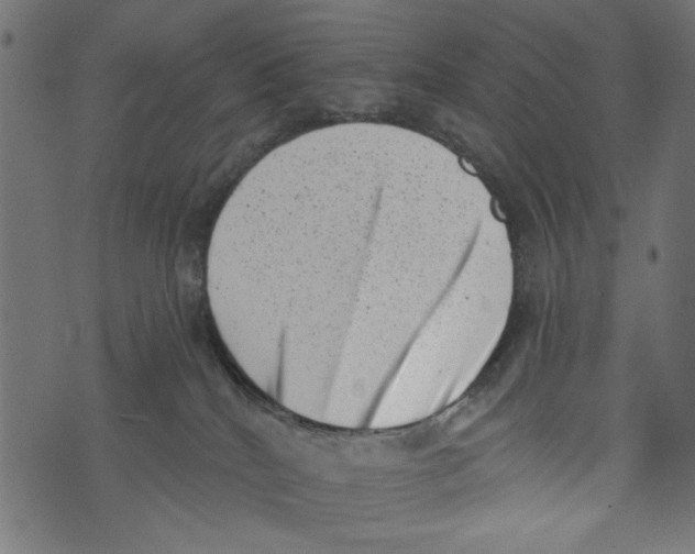 X0000072920040200608181302
