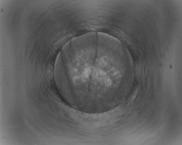 X0000072920043200608181302