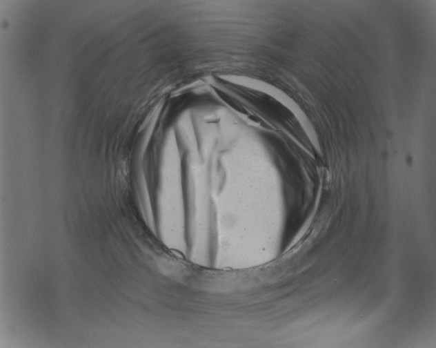 X0000072920045200608181302