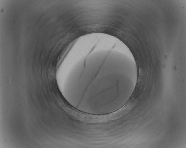 X0000072920048200608181302