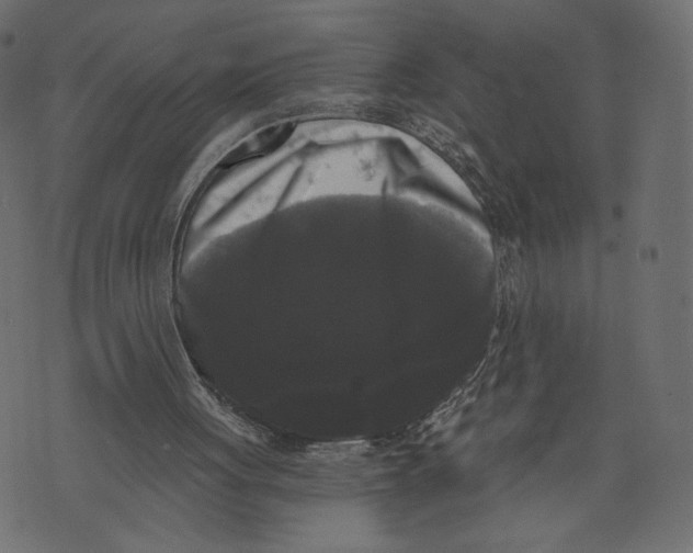 X0000072920051200608181301