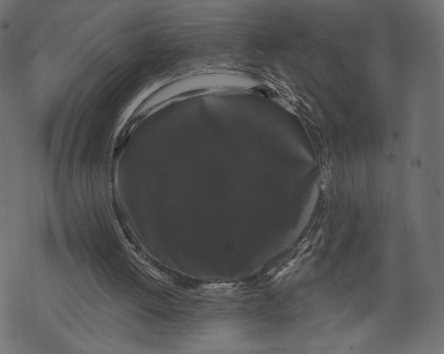 X0000072920052200608181301