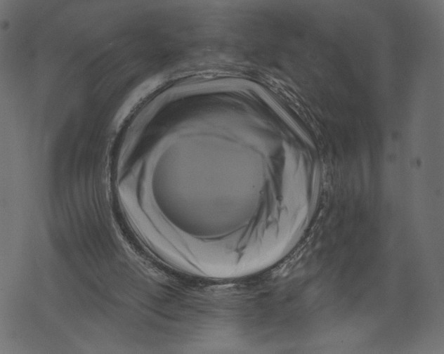 X0000072920054200608181301
