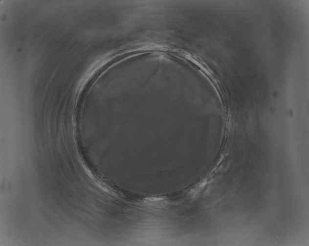 X0000072920055200608181301