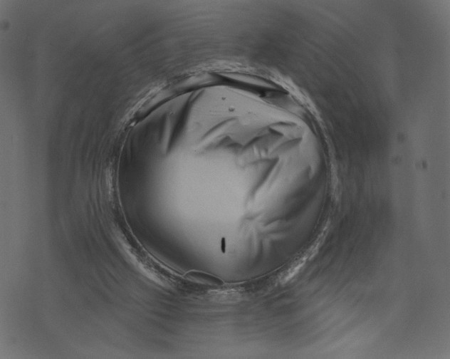 X0000072920057200608181301