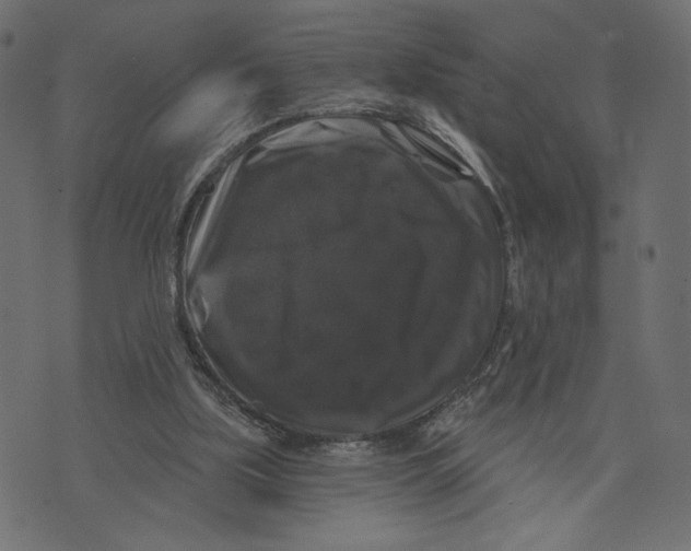 X0000072920059200608181301
