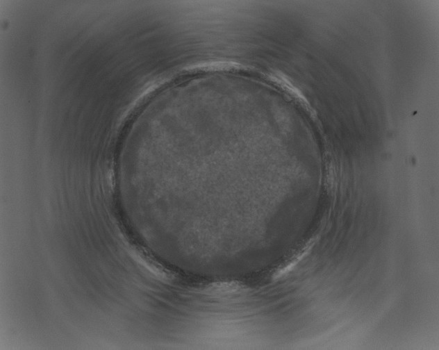 X0000072920063200608181301