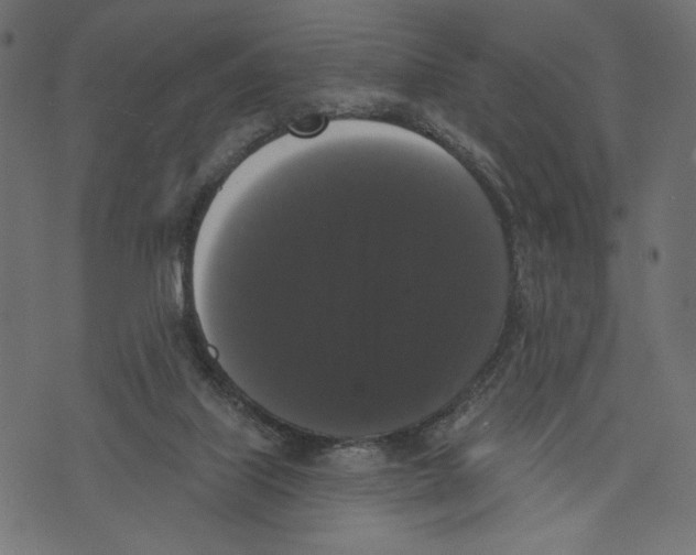 X0000072920067200608181301