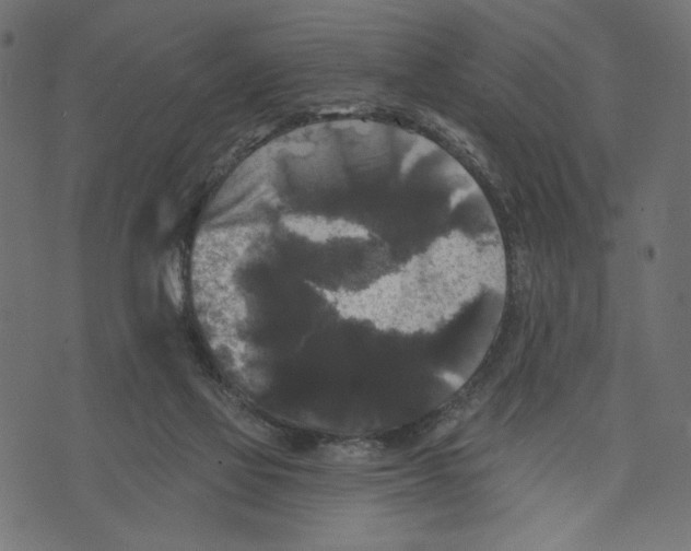 X0000072920069200608181301