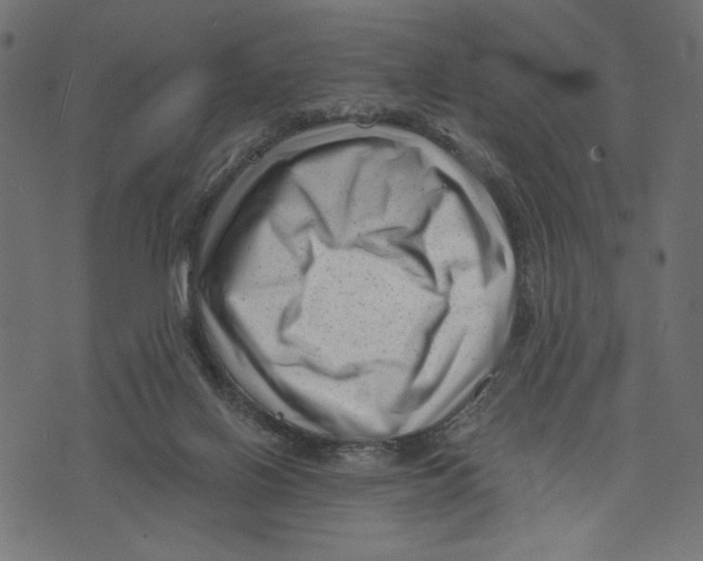 X0000072920070200608181301