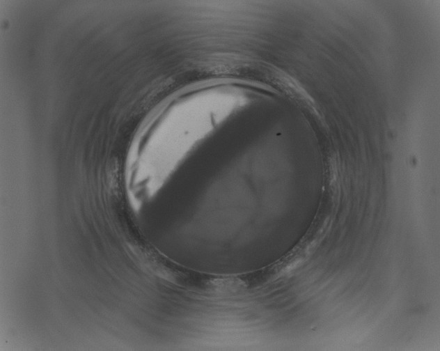 X0000072920073200608181301
