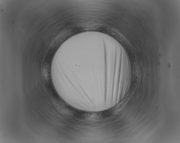 X0000072920074200608181301