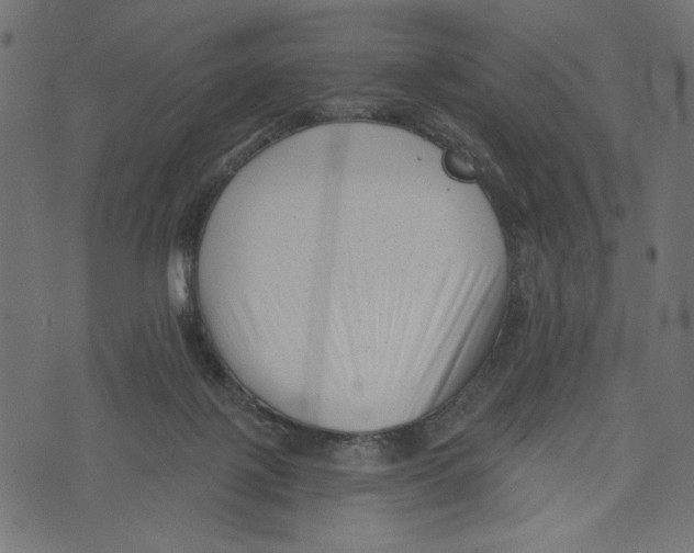 X0000072920075200608181301