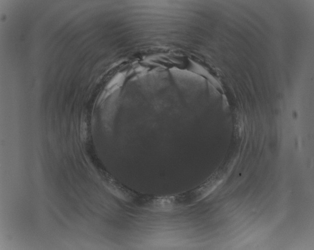 X0000072920080200608181301