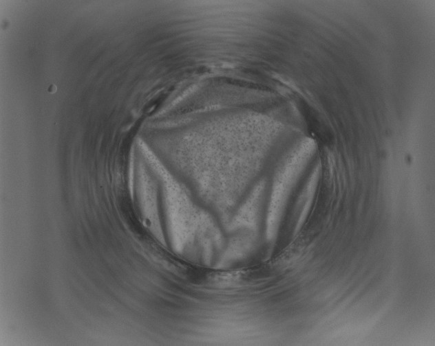 X0000072920084200608181301