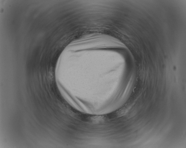 X0000072920085200608181301