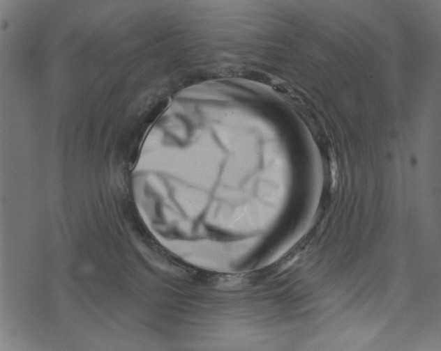 X0000072920088200608181302