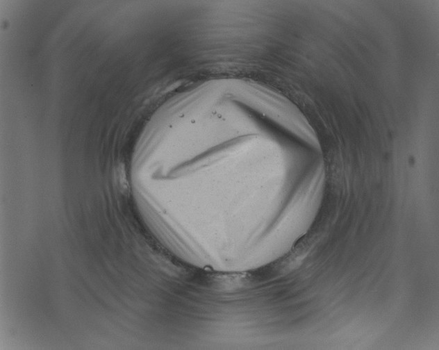 X0000072920089200608181302