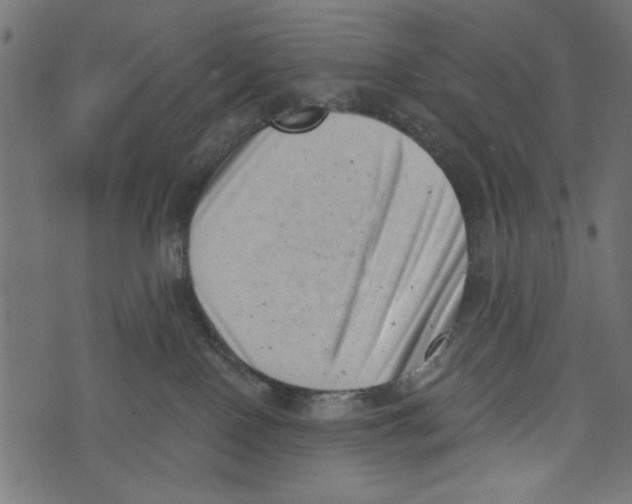 X0000072920090200608181302