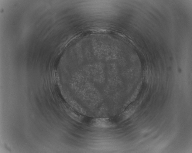 X0000072920093200608181302