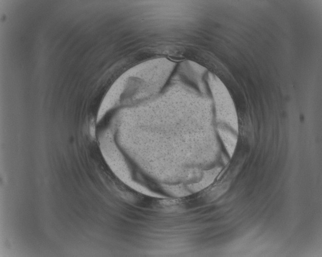 X0000072920095200608181302