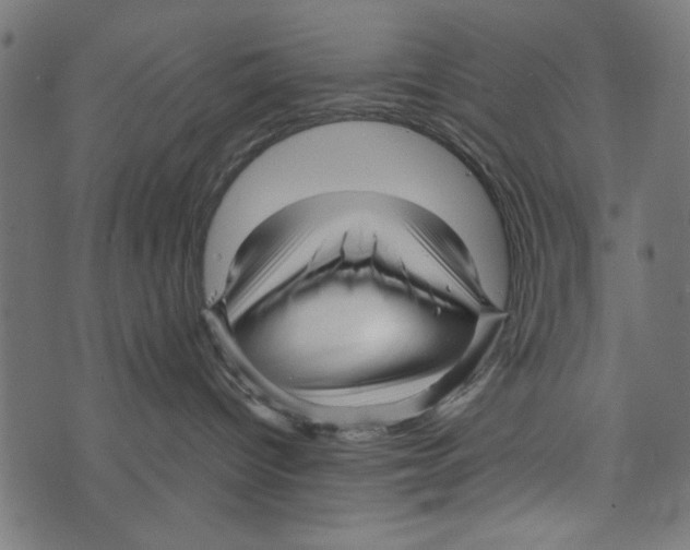 X0000072920096200608181302