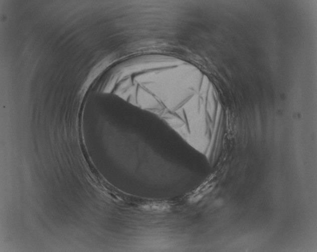 X0000072920099200608181301