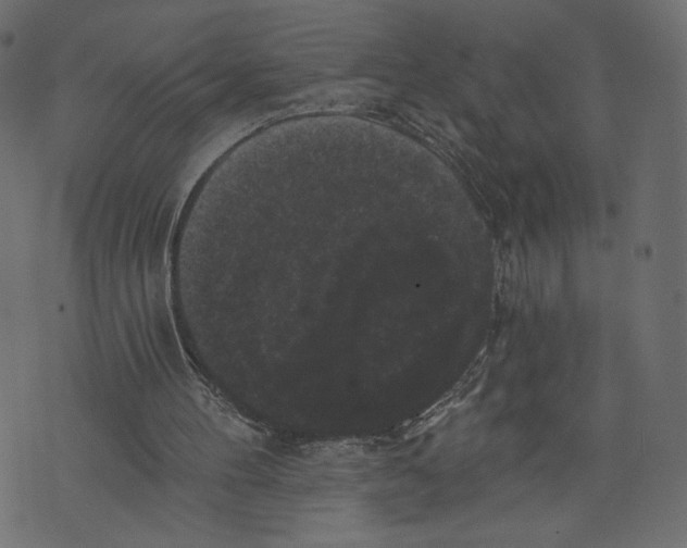 X0000072920100200608181301