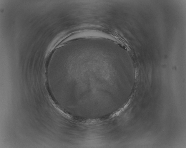 X0000072920101200608181301
