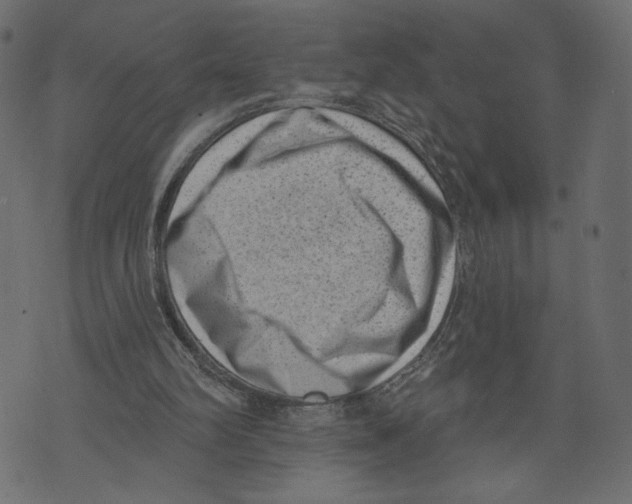 X0000072920102200608181301