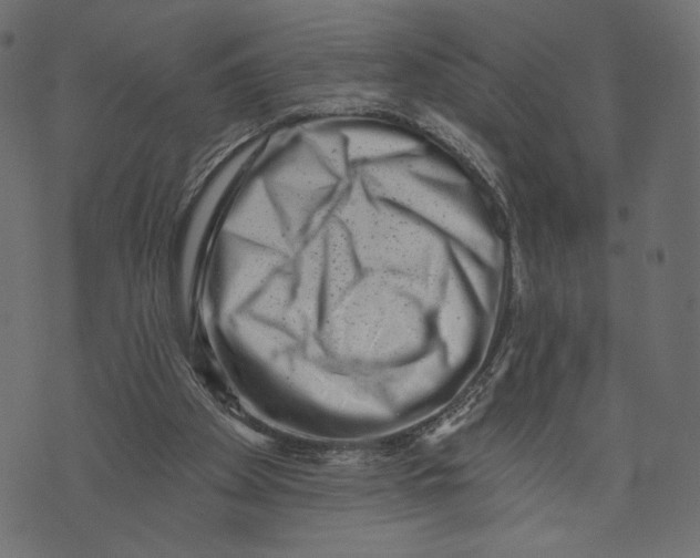 X0000072920105200608181301