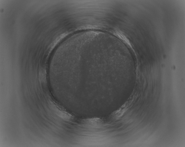 X0000072920108200608181301