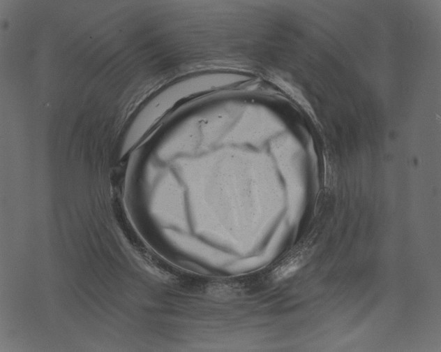 X0000072920109200608181301
