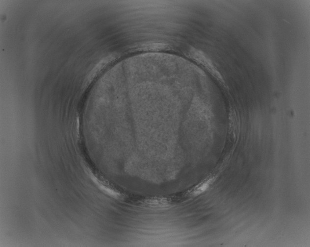 X0000072920110200608181301