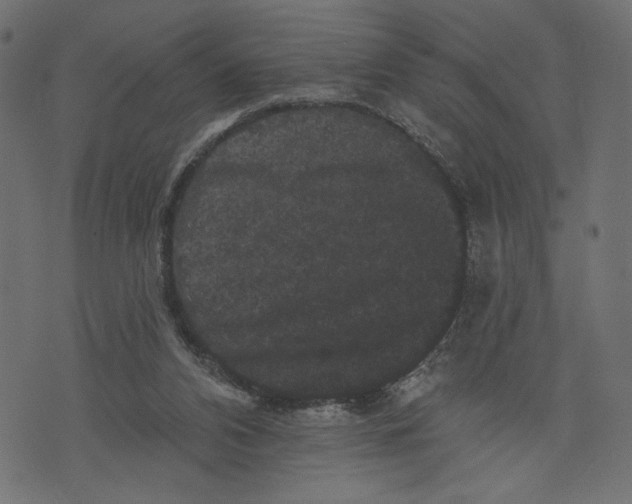 X0000072920112200608181301