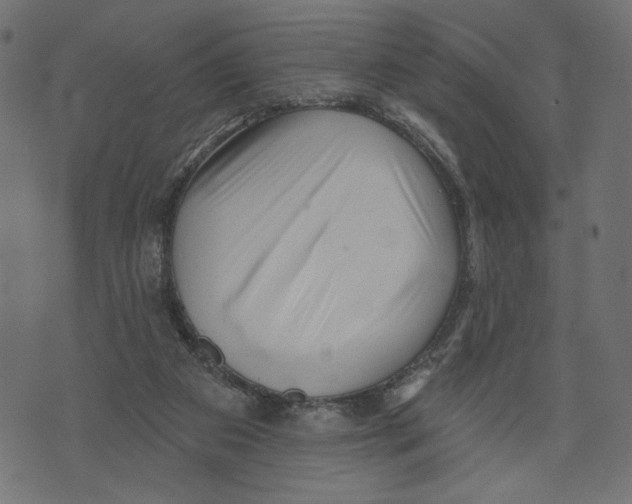 X0000072920113200608181301