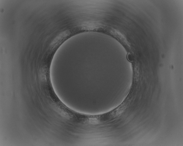 X0000072920114200608181301