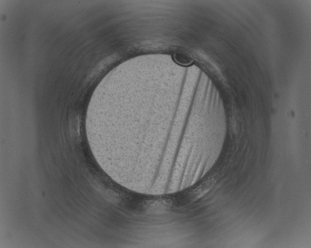 X0000072920115200608181301