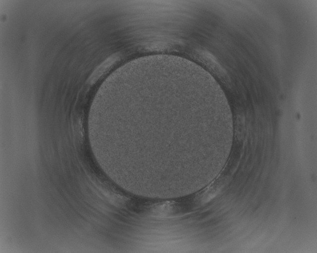 X0000072920116200608181301