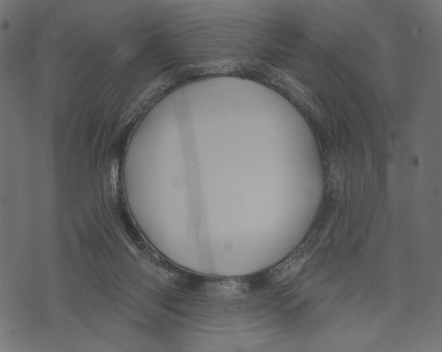 X0000072920118200608181300